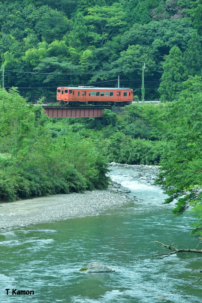 山間を走る赤い気動車①