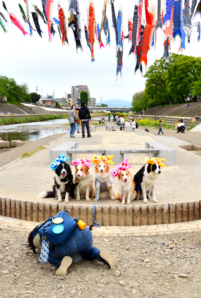 愛犬家カメラマンさん