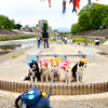 愛犬家カメラマンさん