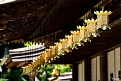 金色の吊り灯籠