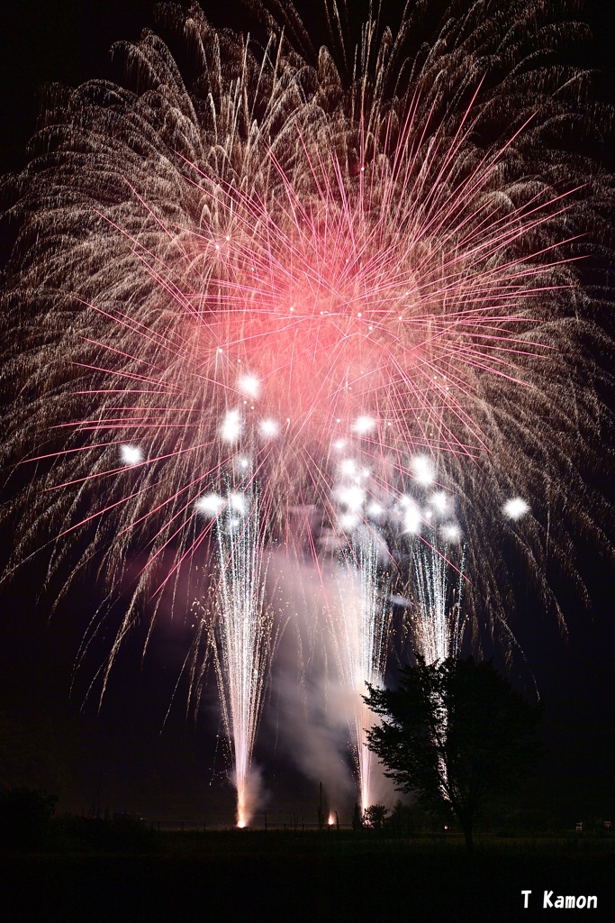 朝来市山東夏祭り花火③