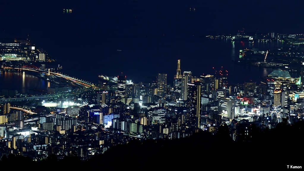 掬星台からの夜景❸
