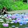 カメラマンに大人気