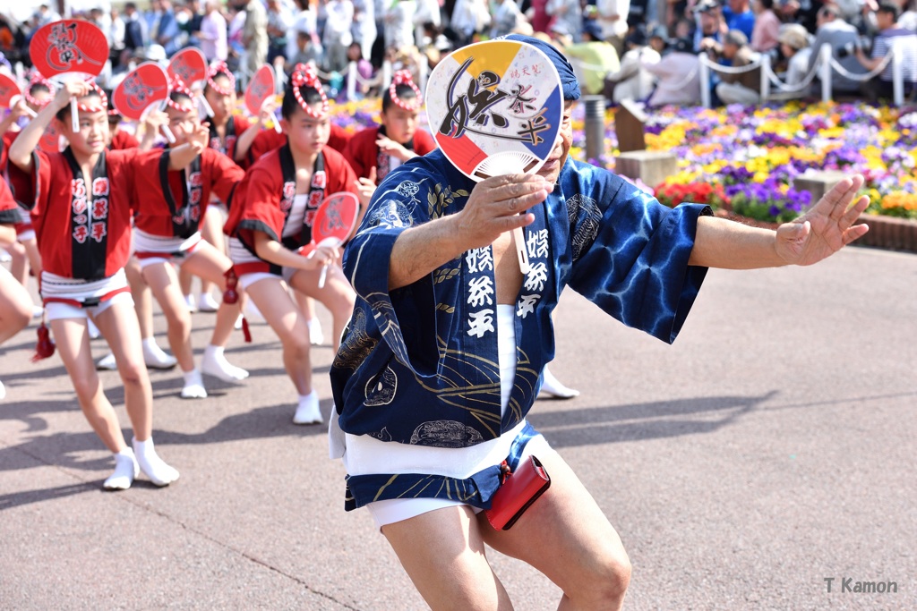 阿波踊り～子供踊り④