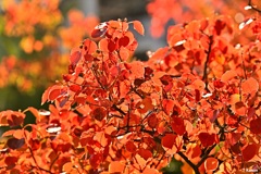 朝日に照らされて