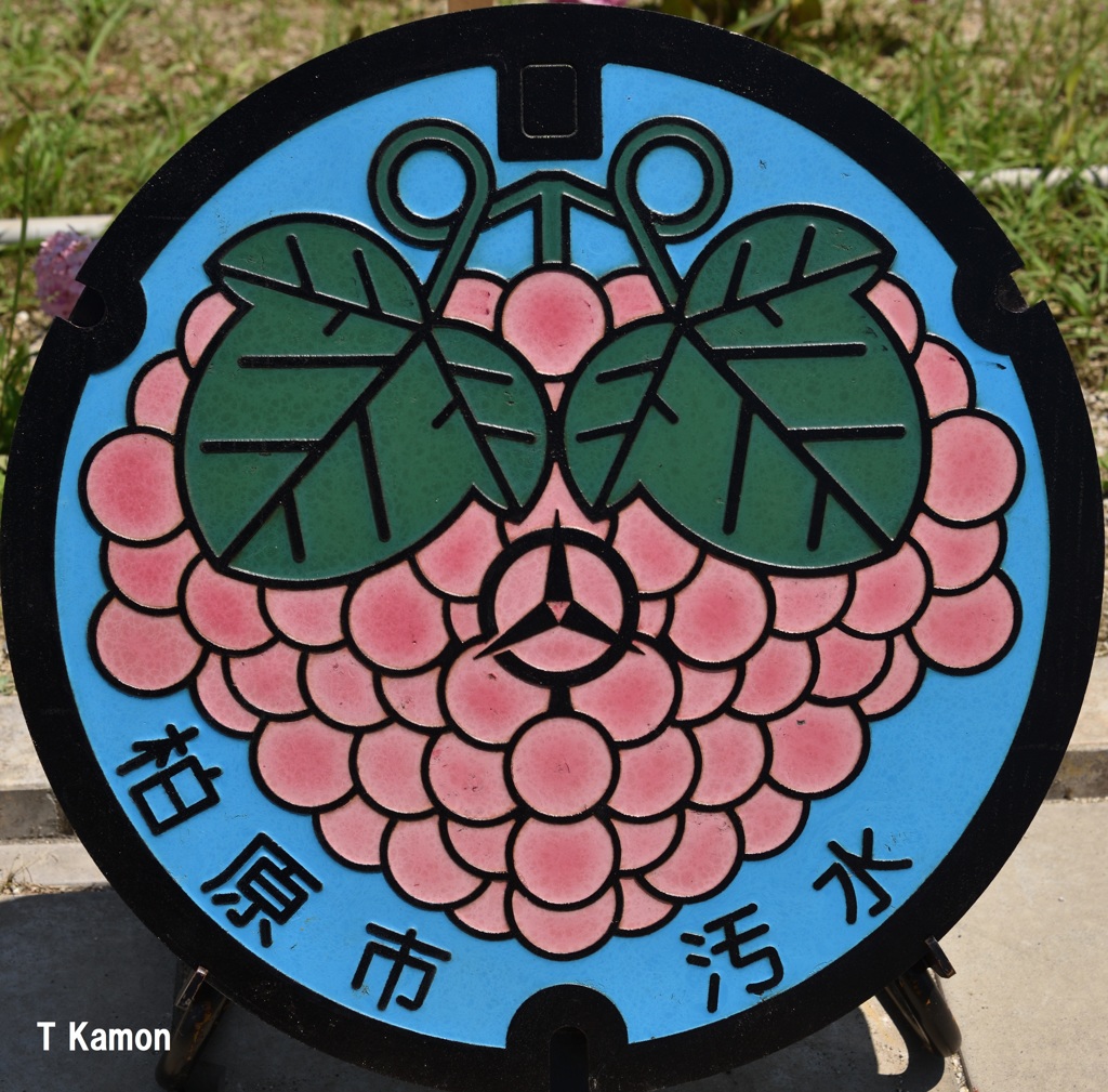 マンホールの蓋～柏原市