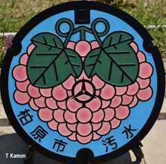 マンホールの蓋～柏原市