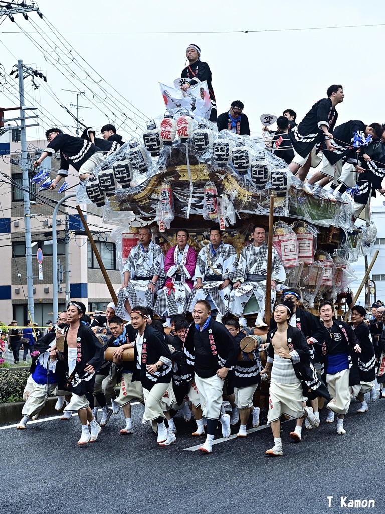 令和奉祝だんじり巡行①