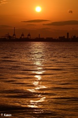 休日の夕陽①