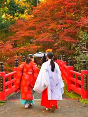 11月15日今日は忙しくなる