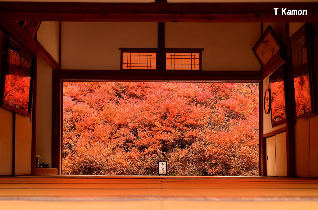 人気の安国寺