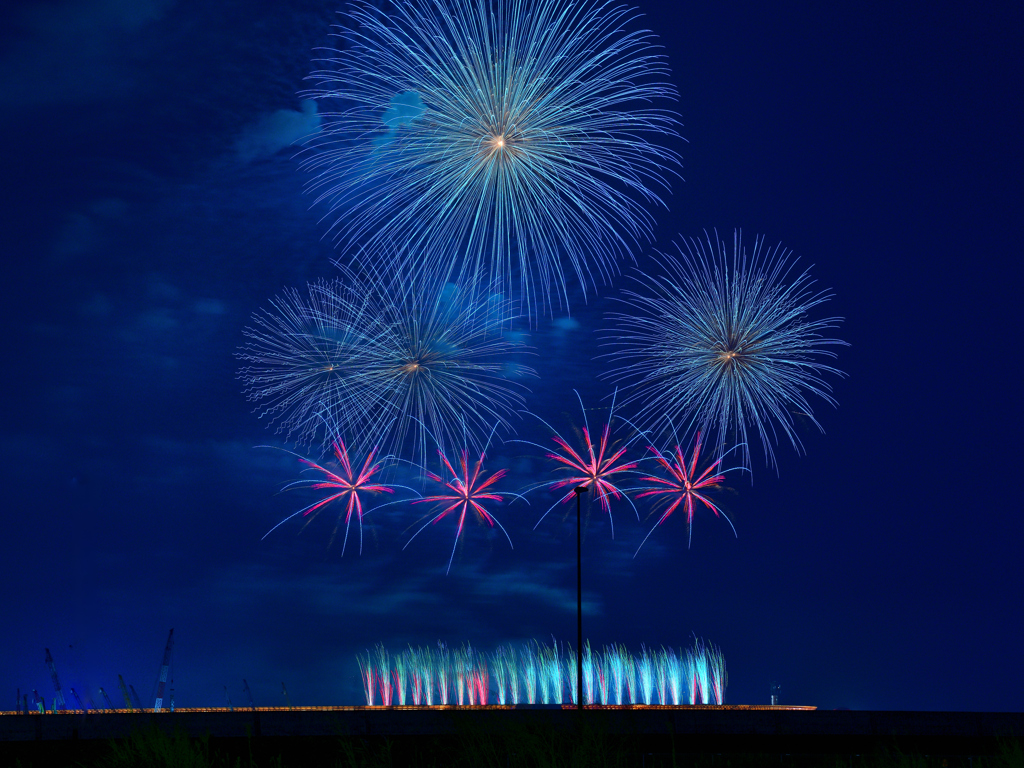 JAPAN FIREWORKS EXPO（未来につなぐ希望の花火）③