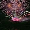 かつらぎ花火⑪