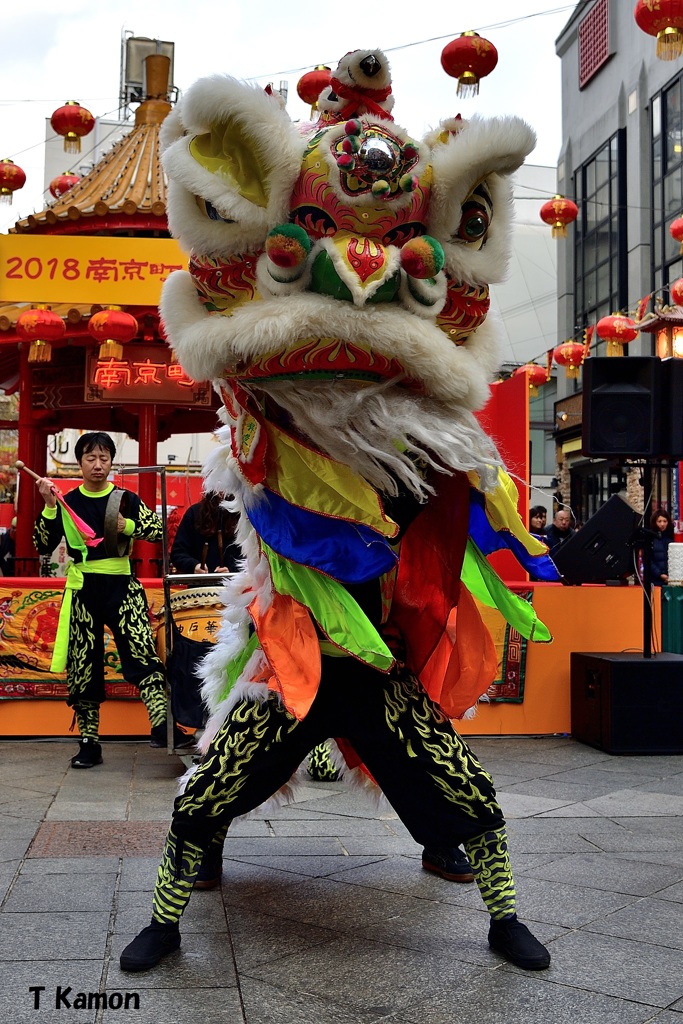 獅子舞(春節祭シリーズ②)