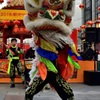 獅子舞(春節祭シリーズ②)