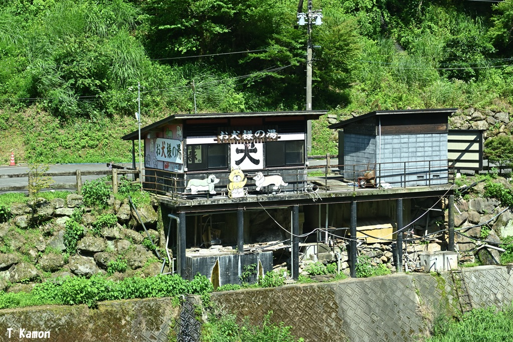 お犬様の湯
