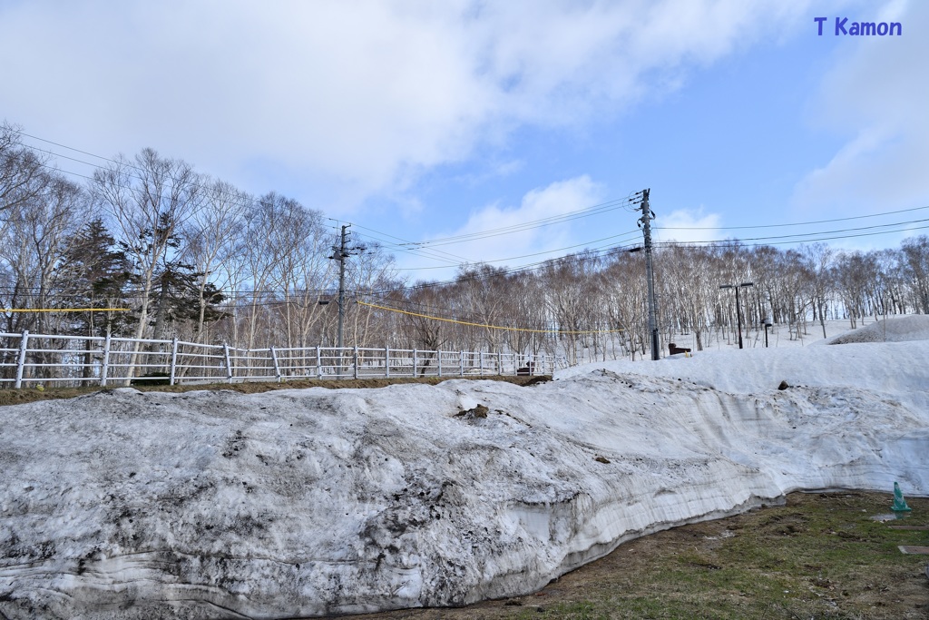 残雪