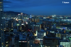 神戸港の夜景Ⅴ