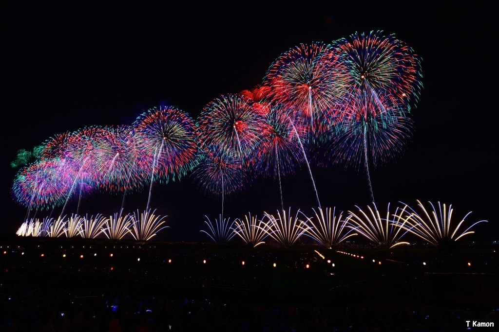 復興祈願花火フェニックスⅱ～長岡まつり大花火大会㉓