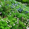 花に埋もれて