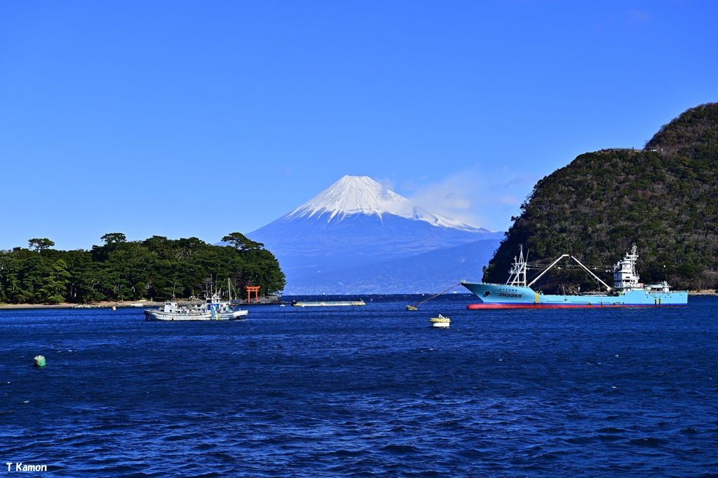 駿河湾越しに