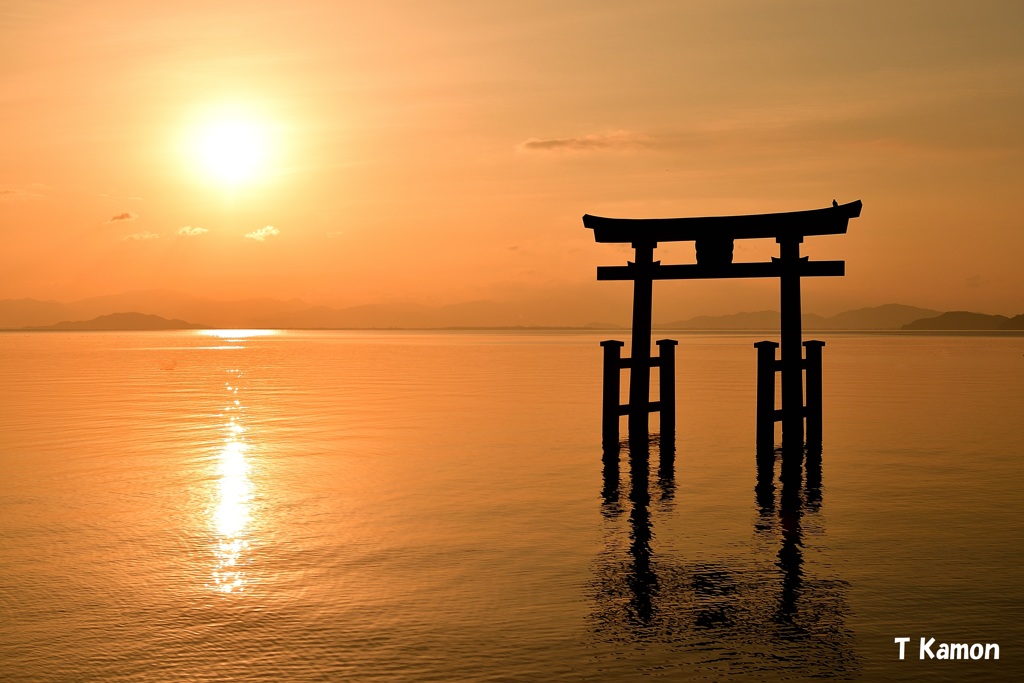 湖の大鳥居