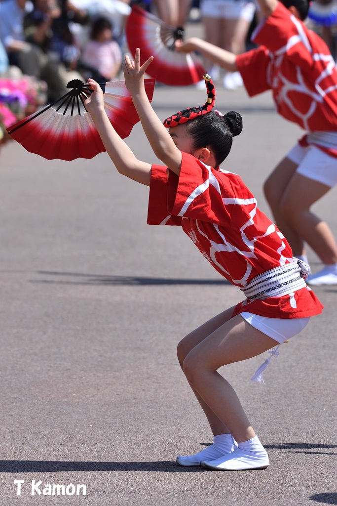 阿波踊り～子供踊り①