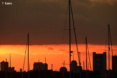 夕暮れ
