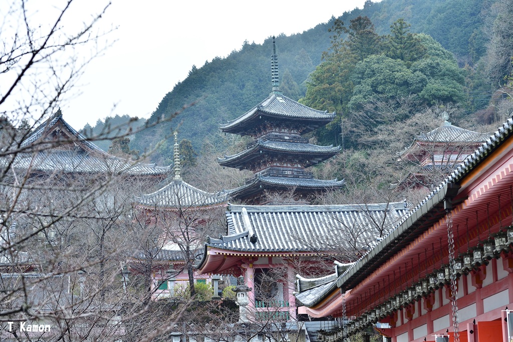 春を待つ山間の寺