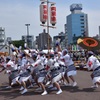 阿波踊り～男踊り③