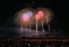 第5回花火甲子園⑮