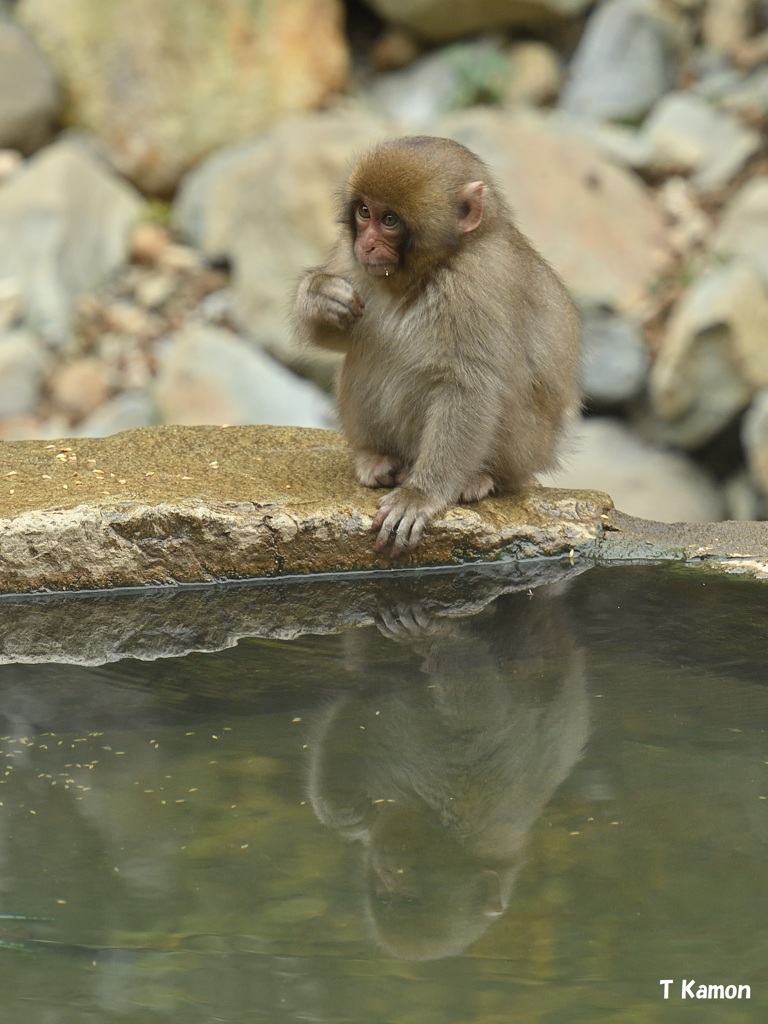 水鏡