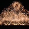 Disney Music & Fireworks⑫
