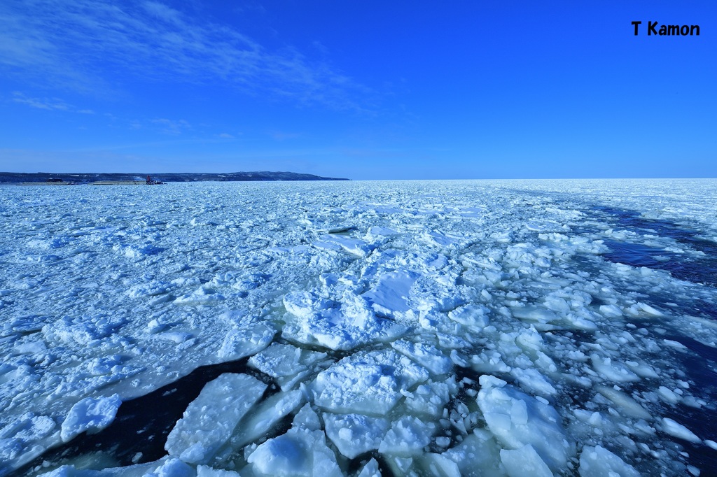 流氷のオホーツク海③