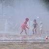 真夏の水遊び