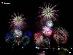 淡路市夏まつり花火⑦