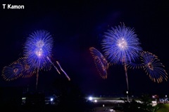 淡路市夏まつり花火⑤