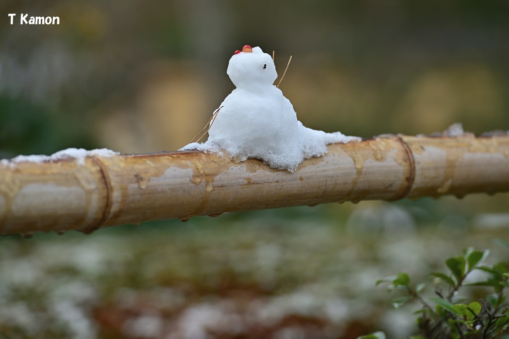 融けだした雪ダルマ