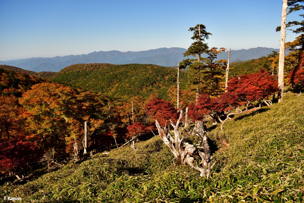 大台ケ原の紅葉