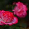 Gradation