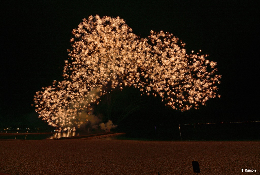 SENNAN SPARK HANABI ➋