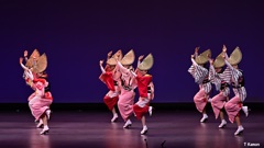 徳島県阿波踊り協会の女踊り