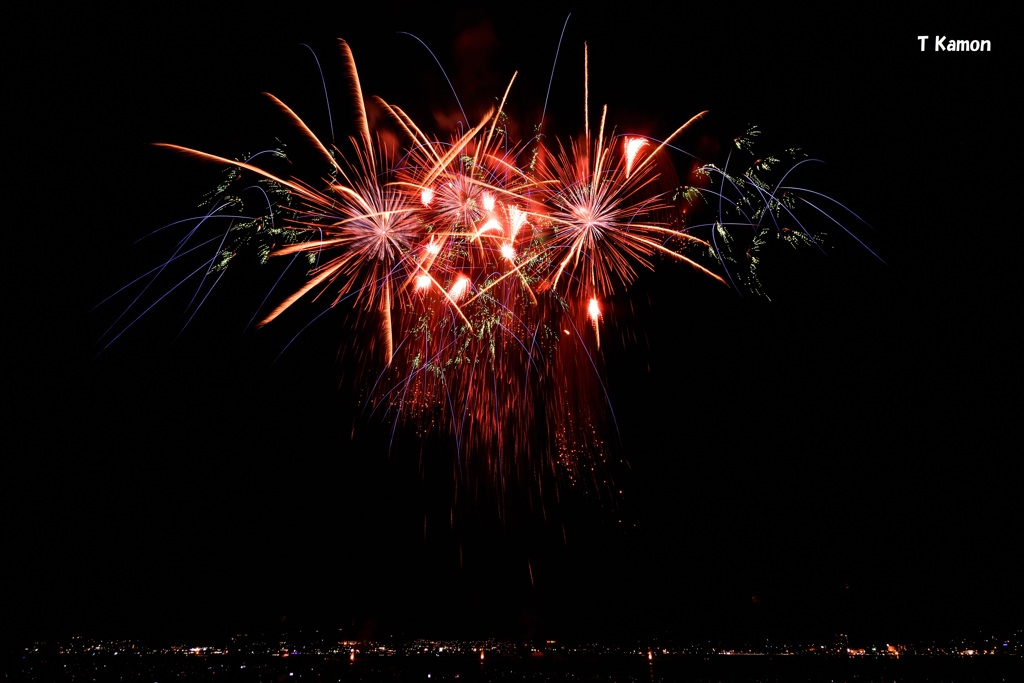新作花火⑤