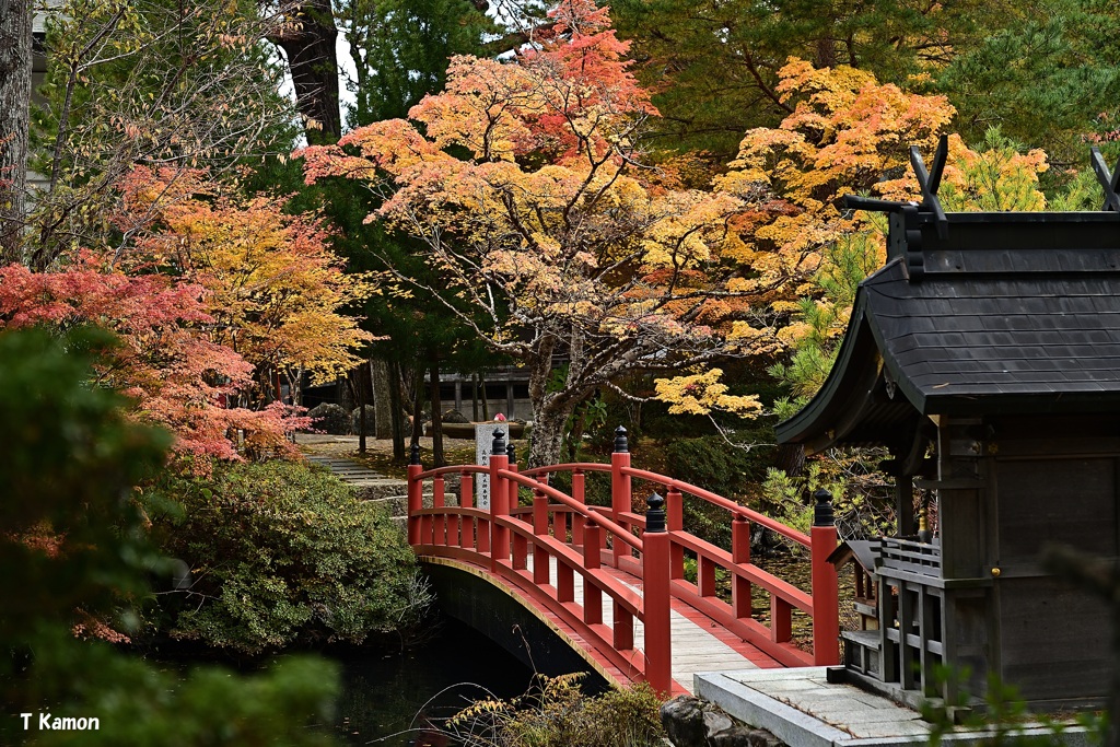 小さな社と橋と紅葉と