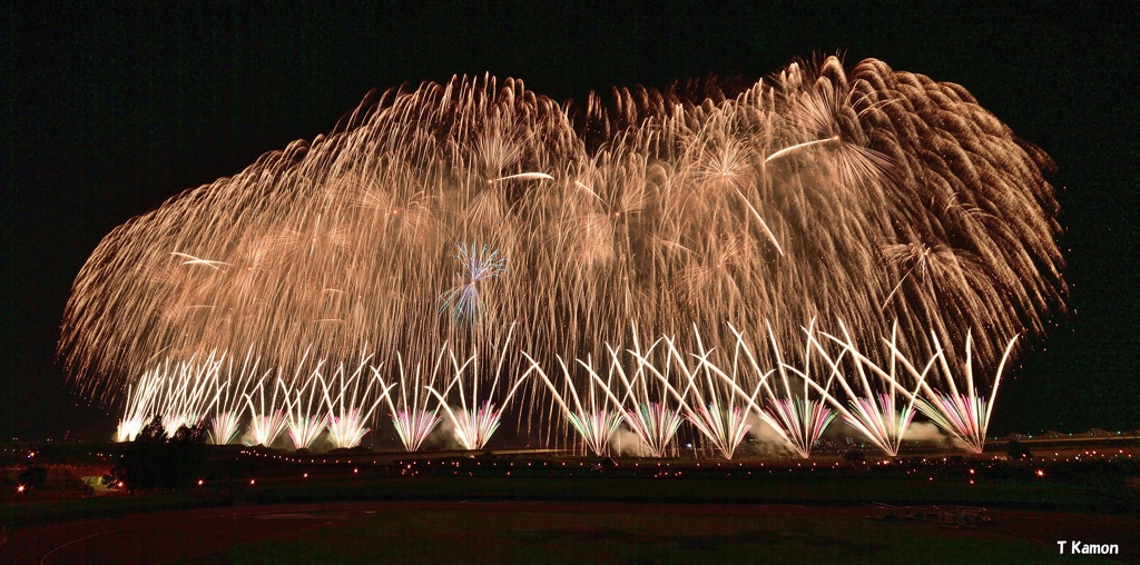 フェニックスは今年も見られない