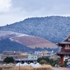 雪の若草山
