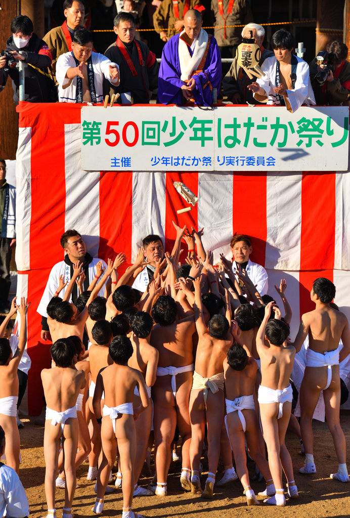 第50回少年はだか祭り③