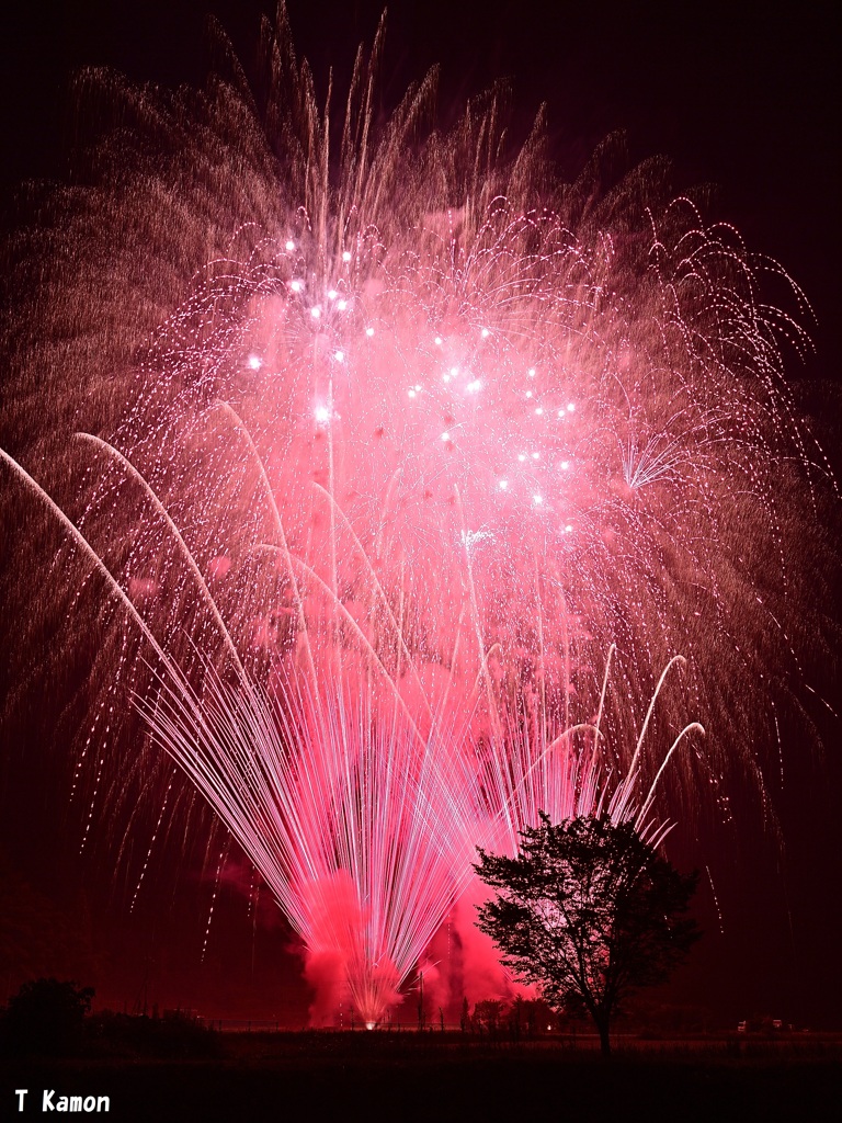 朝来市山東夏祭り花火④