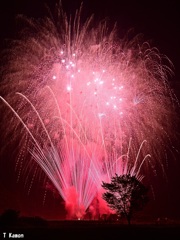 朝来市山東夏祭り花火④