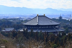 東大寺の瓦